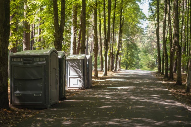 Portable Toilet Options We Offer in Forest City, PA